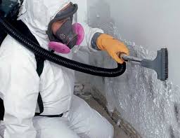  Franklin Lakes, NJ Mold Removal Services Pros